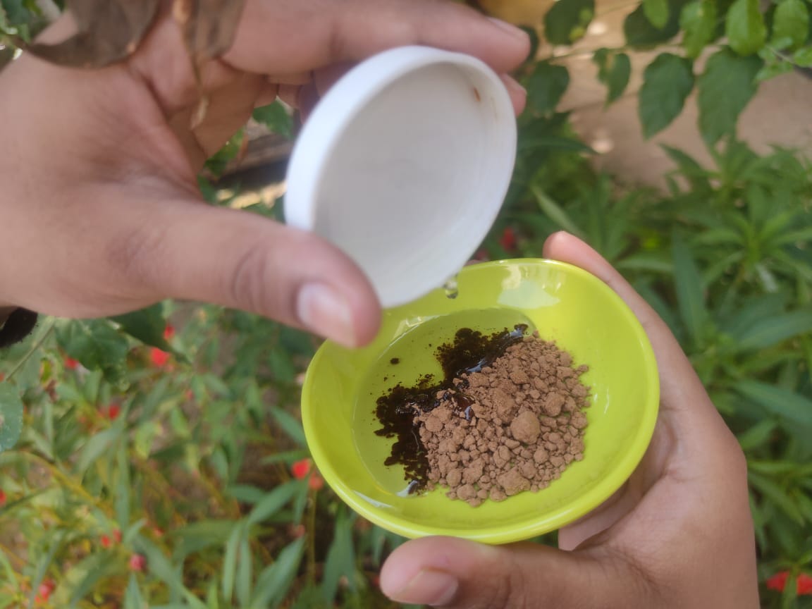 shikakai coconut oil hair masks for shiny and glossy hair